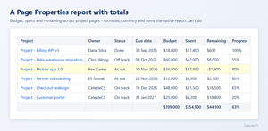 A Page Properties report with budgets, formulas and totals.