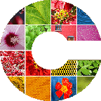 CryptoPhoto 2FA/2-Factor Authentication