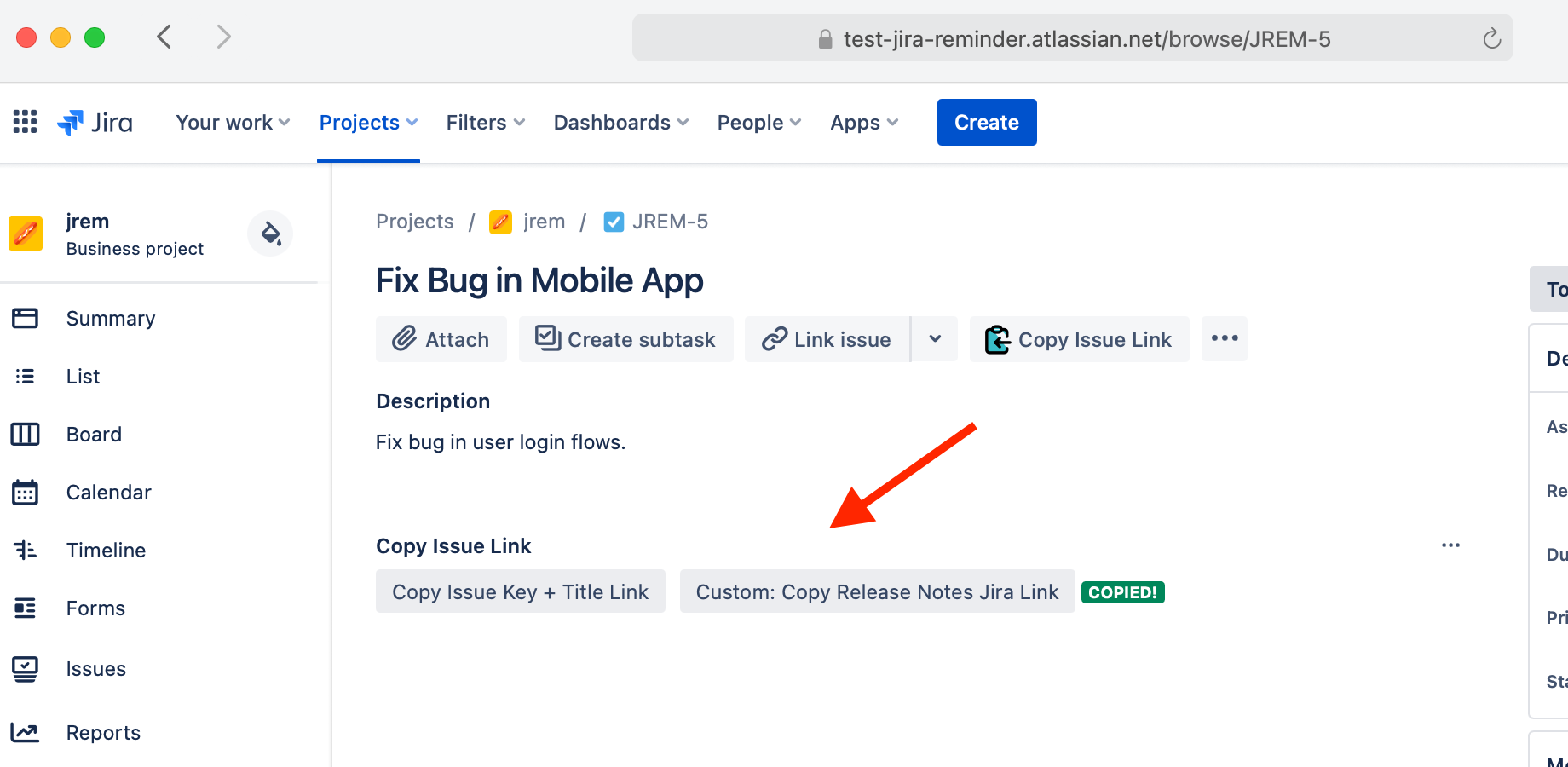 Copy Custom Issue Data with Your Template