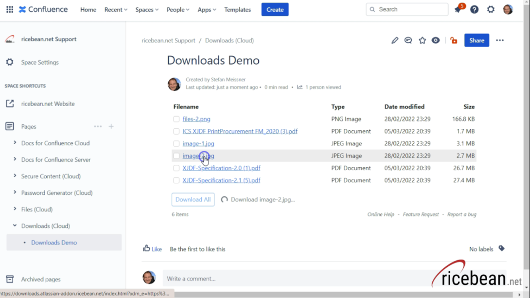 Quick Single File Download