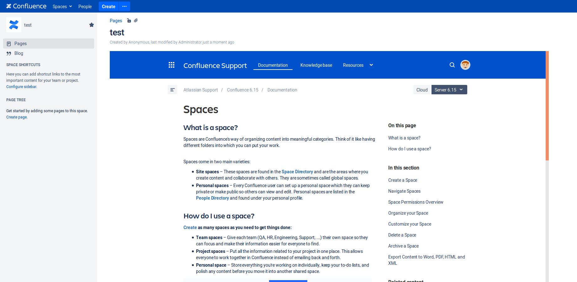 Shows an embedded Iframe containing content.