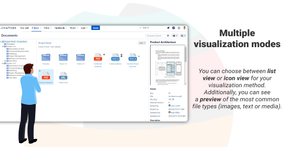 The Documents tab of a project with Tree Navigation panel, Icons View and Details Panel enabled.