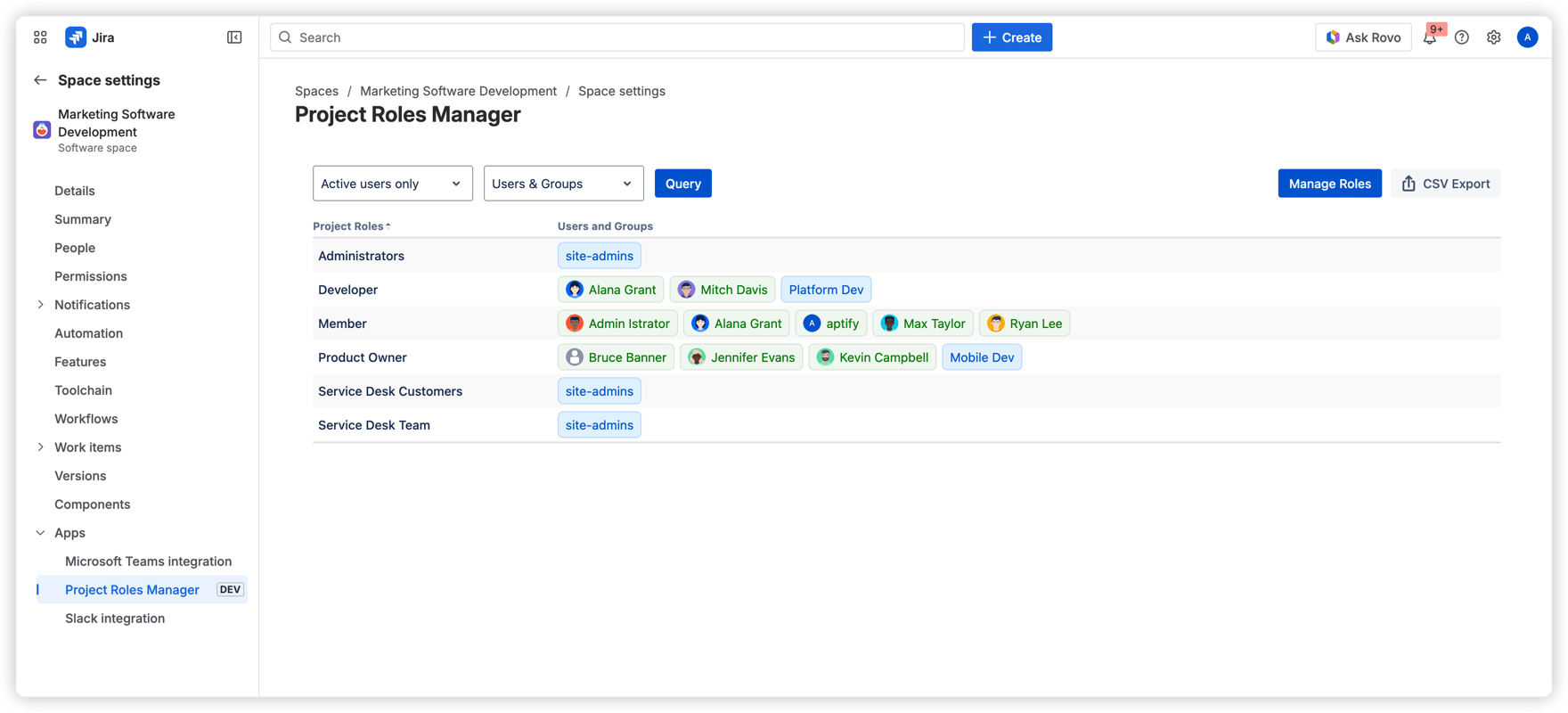 The project settings view displays all roles defined in the project — including Administrators, Developer, Member, and more — alongside their assigned users and groups for quick reference.