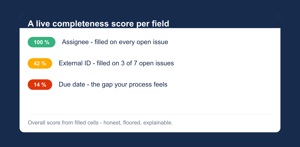 A live completeness score per field - overall, per field, and the exact issues with gaps