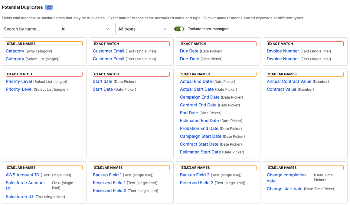 Potential Duplicates panel with exact match and similar name groups, and field table with advanced filters