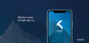 Effortless setup of single sign on..