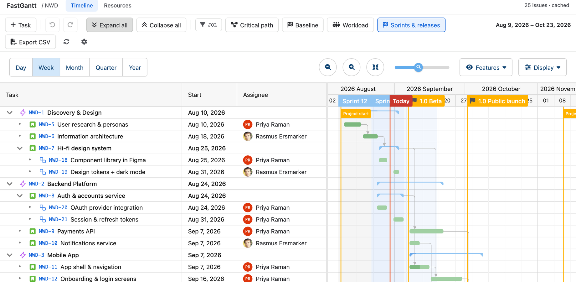 A 25-issue plan with dependencies, sprint bands, release flags and Today.