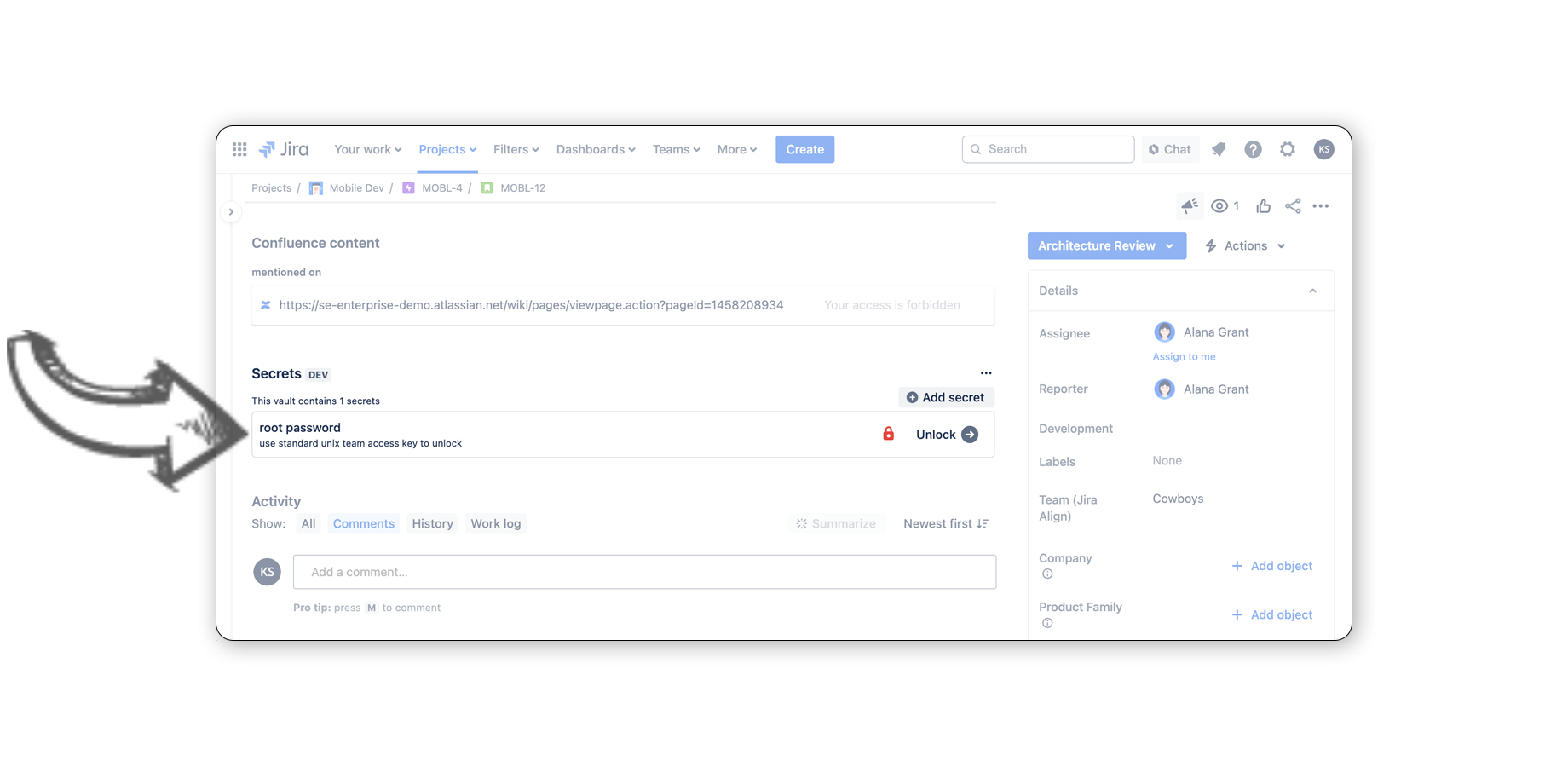 Secrets inside Jira issues
