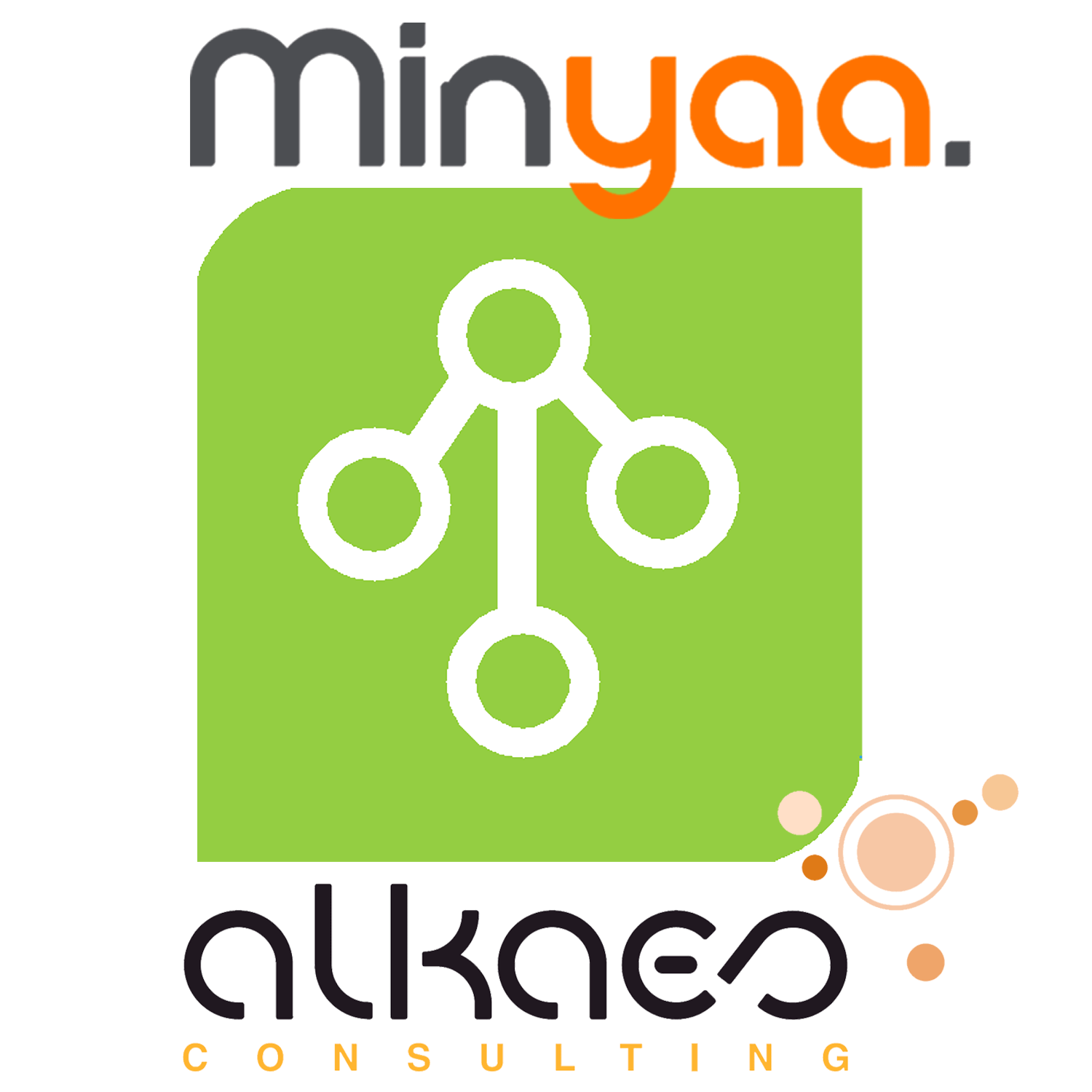 Alkaes - Minyaa Workflows