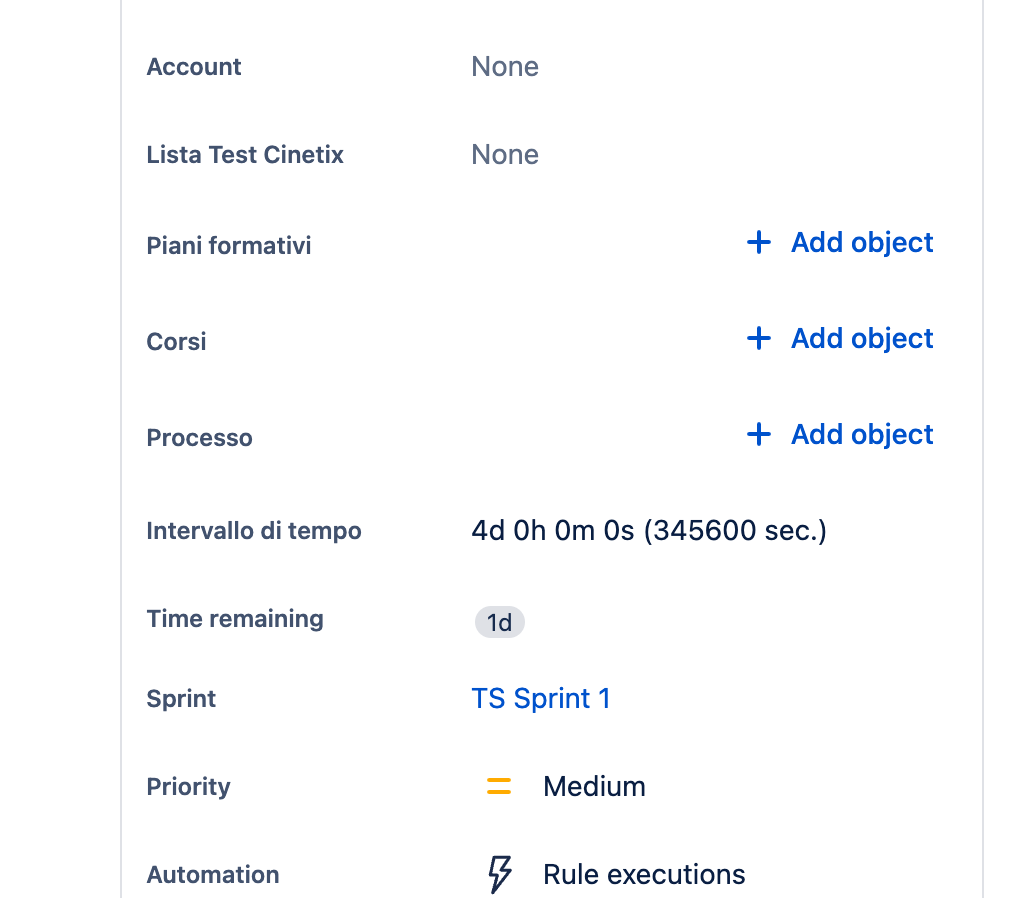 Field in issue view screen