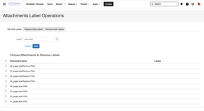 Add Labels to Attachments