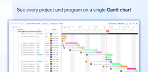 Manage all your projects and portfolios together on one interactive timeline, with milestones and baselines to keep every plan on track.