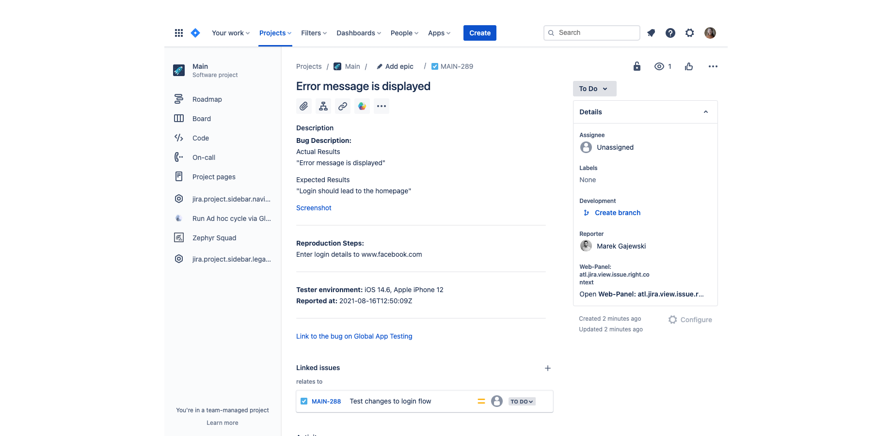 Receive detailed and actionable bug reports, fast