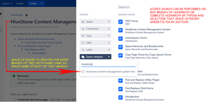 Scoped search functinality