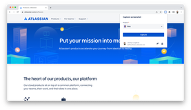 Open browser extension and choose a project