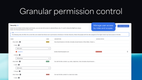 Granular permission control