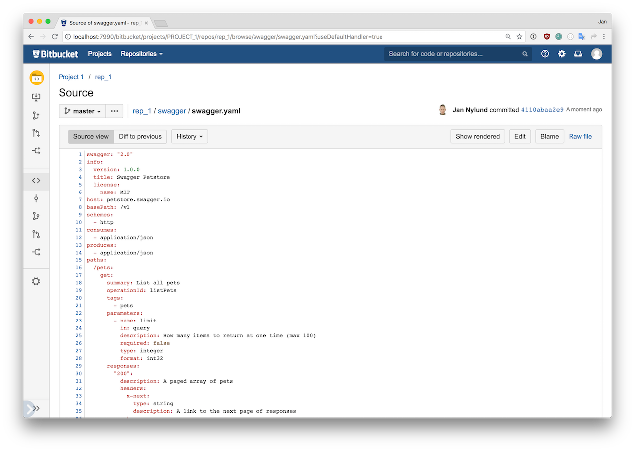 Switch between rendered swagger and source view