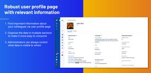 Versatile user profile based on custom attributes