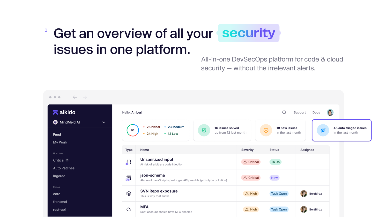 An overview of all your security issues.