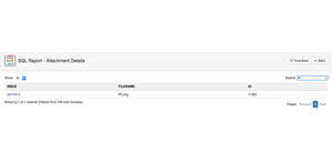 SQL Report view with searchable and pagination feature