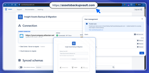 Insight Assets Backup & Migration: Assets Backup Vault