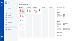 View issue details in the right side bar