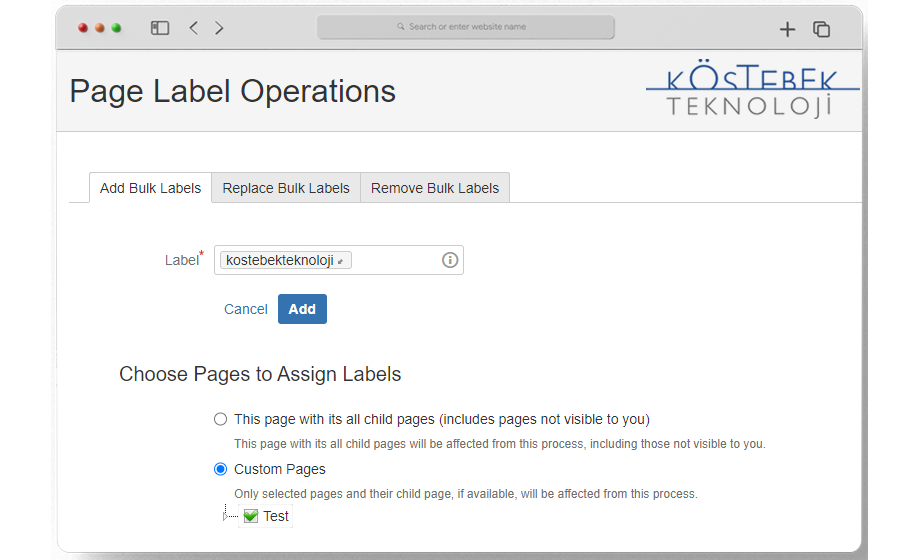 Add Bulk Labels for Child Page(s)