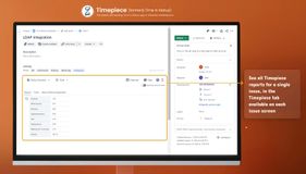 See Timepiece reports for a single issue in that issue's Timepiece tab