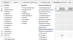 Choose roll up columns and other columns to be displayed