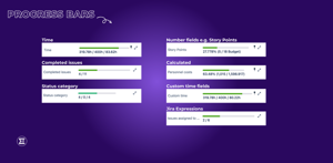 These progress bars are available. Time, Completed issues & Status category are standard metrics. Number fields, Custom time, Calculated & Jira Expressions are custom ones.