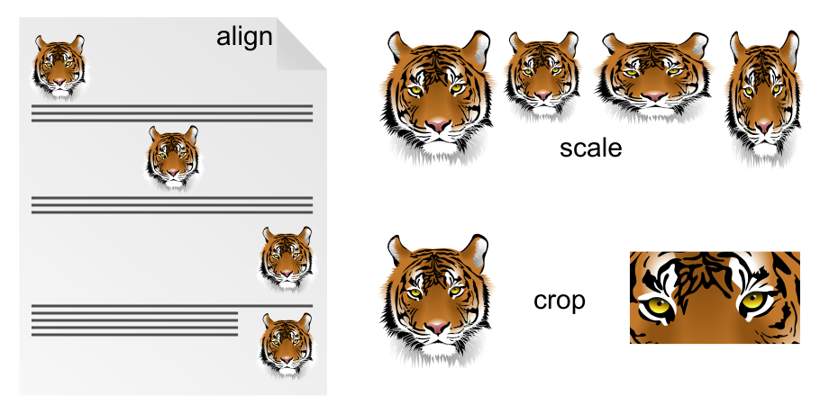 Align, scale and crop