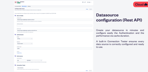 Datasource configuration (Rest API)