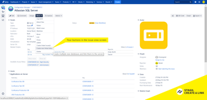 Your buttons in the issue view screen.