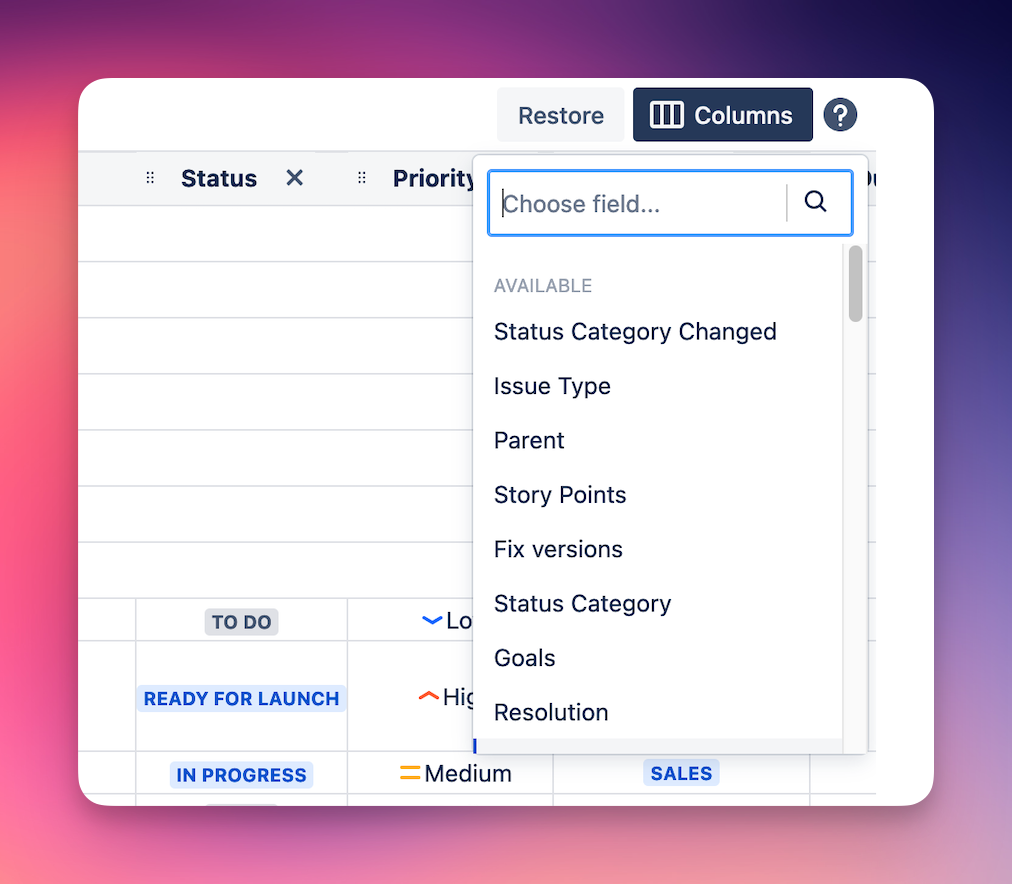 Choosing column view from the Jira tasks fields