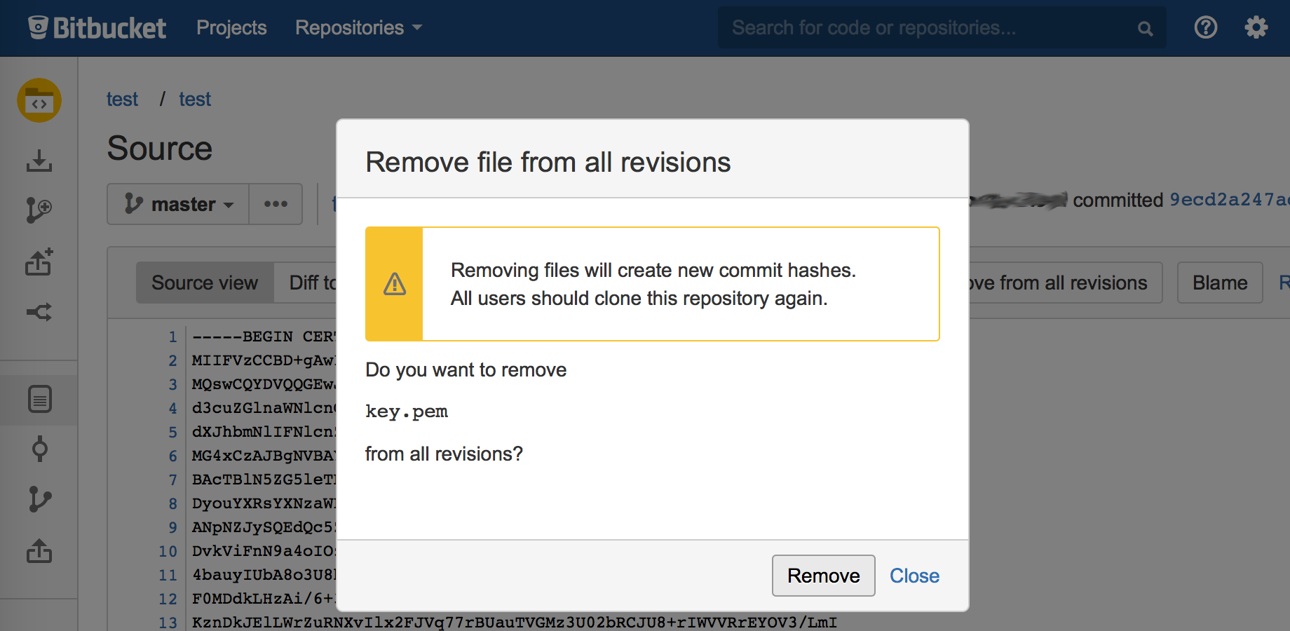 Remove file dialog