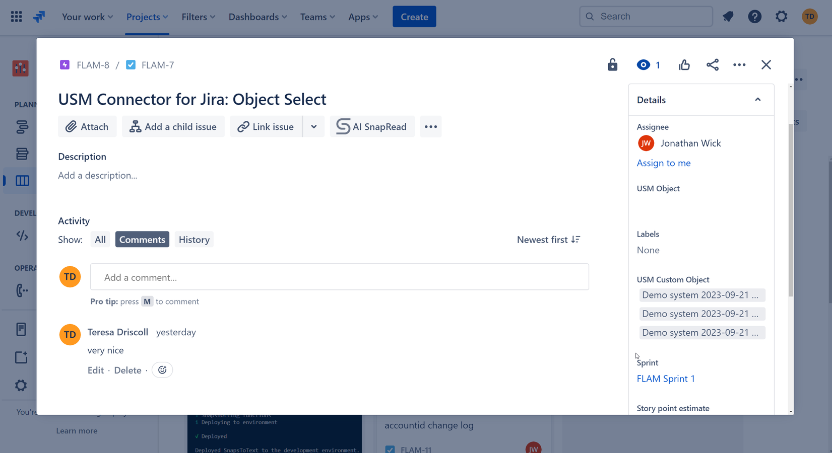 USM Objects on Issue view