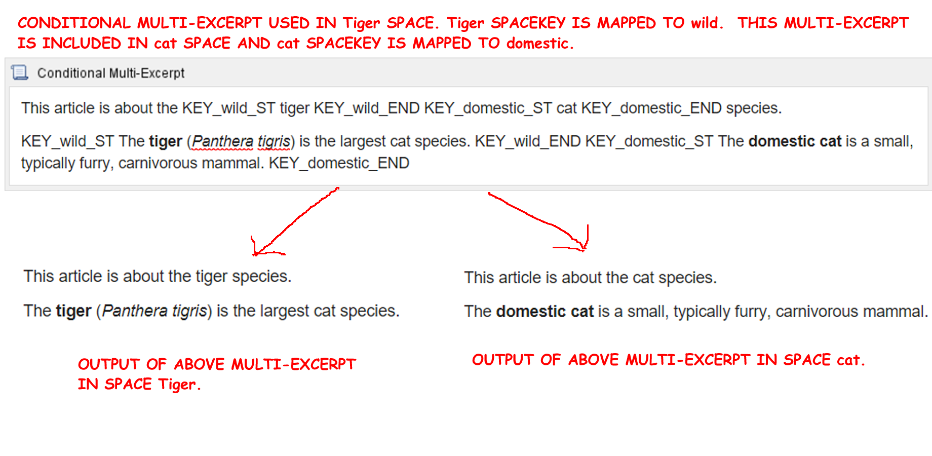 Reuse the same excerpt to show different content