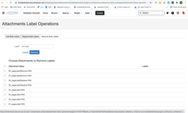 Delete Labels from Attachments
