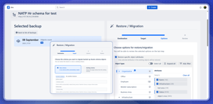 Insight Assets Backup & Migration: Restore Backup