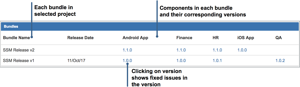 Dashboard item for bundles displays high level content of each release