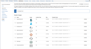 Upload your own images to our CDN, have those image linked in your HTML email content!