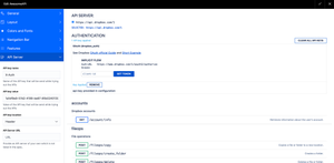 API server