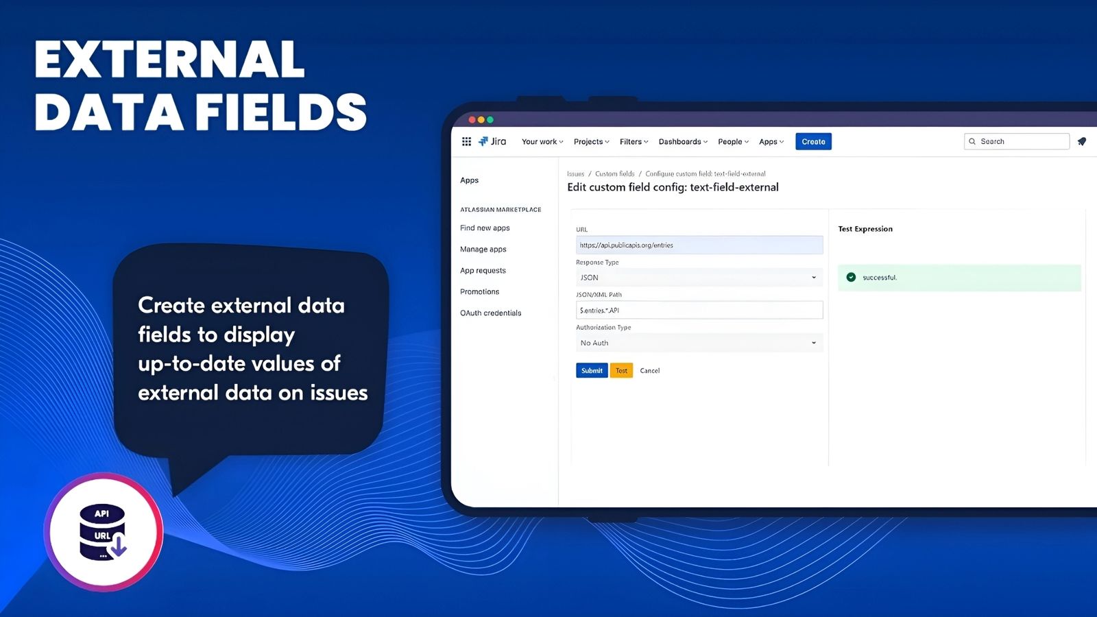 Display external data on issues