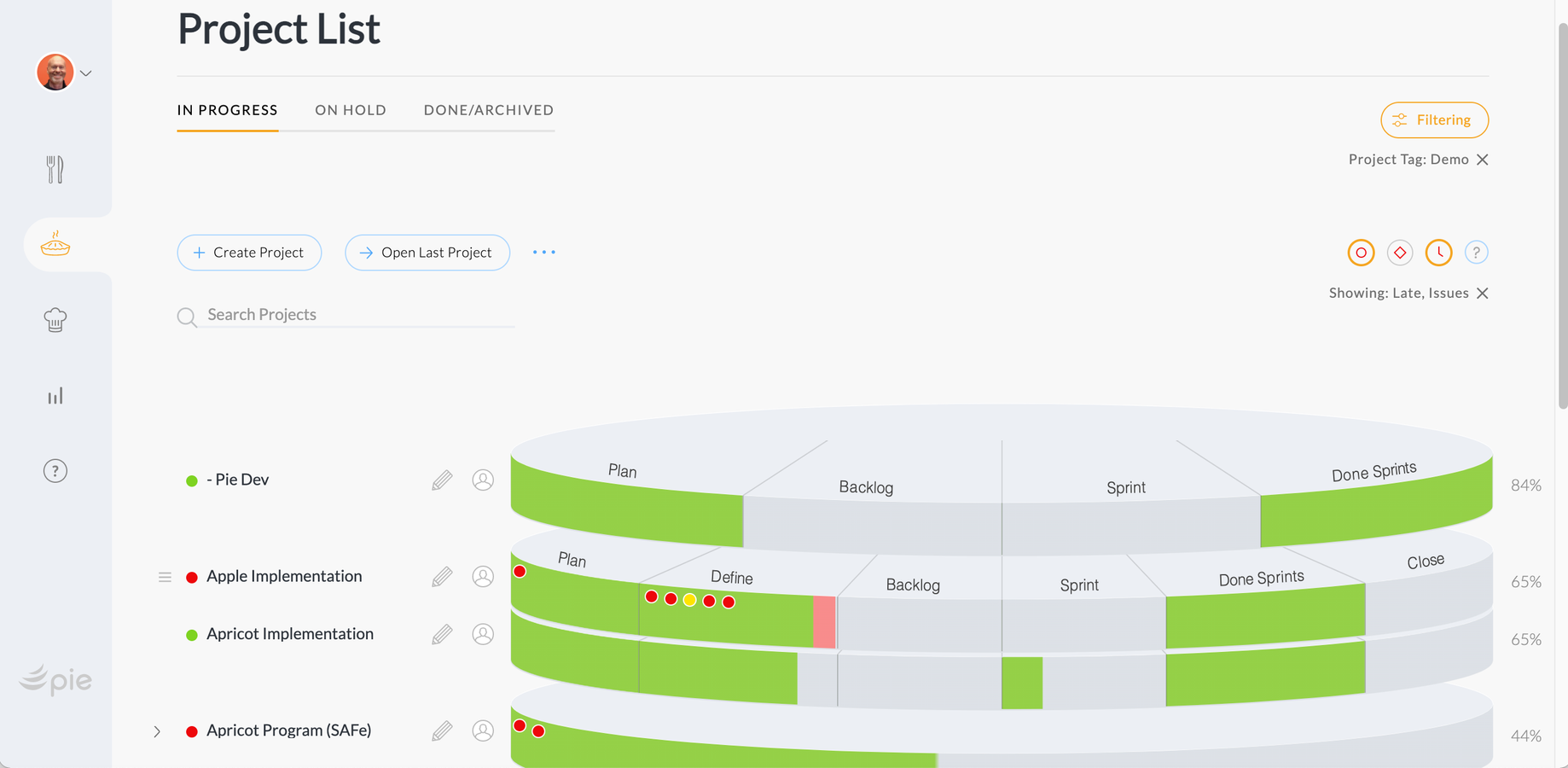 This view displays a portfolio list of projects with progress for each project phase. Green is done, red is late.