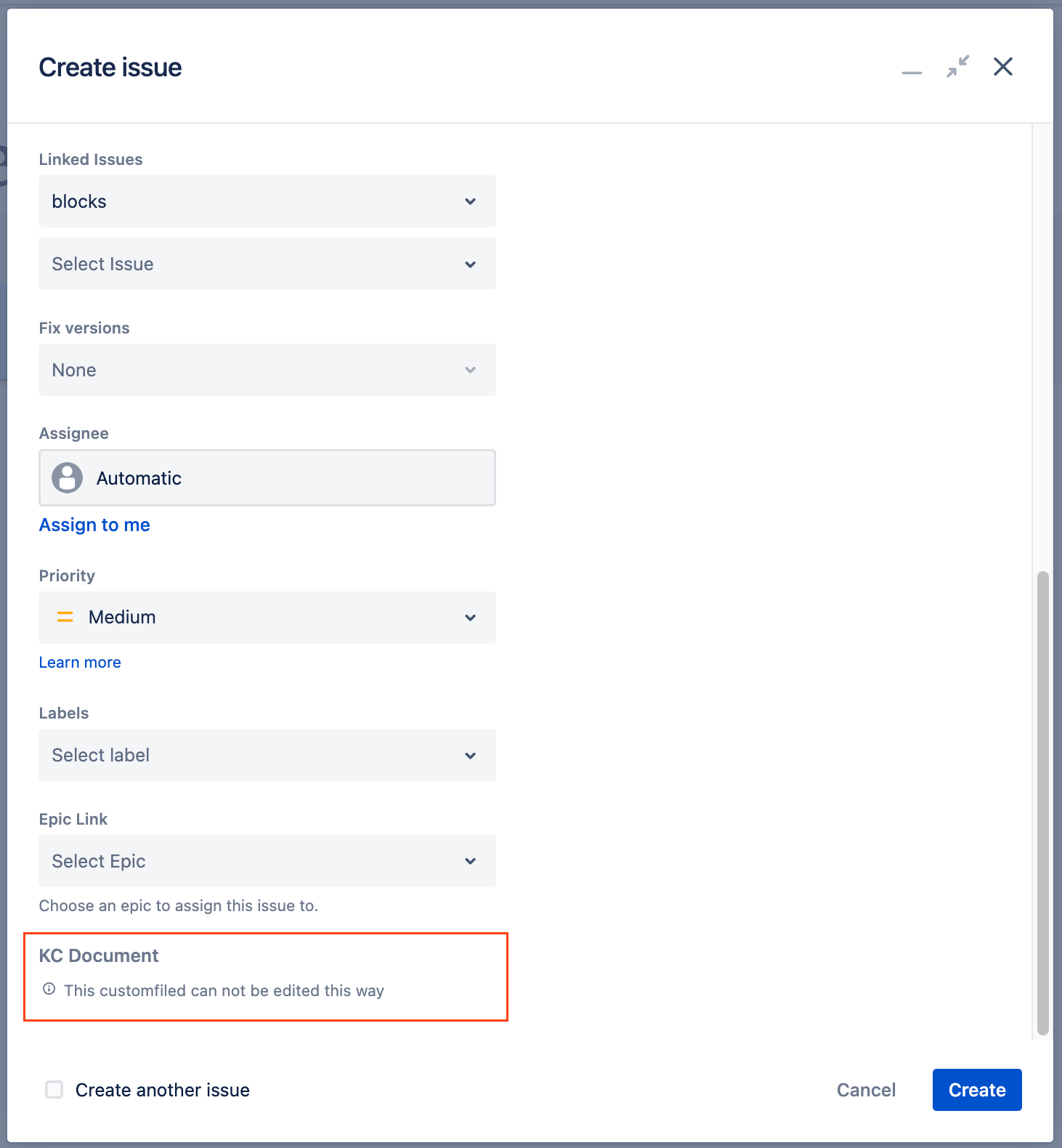 Custom Field in Jira Issues