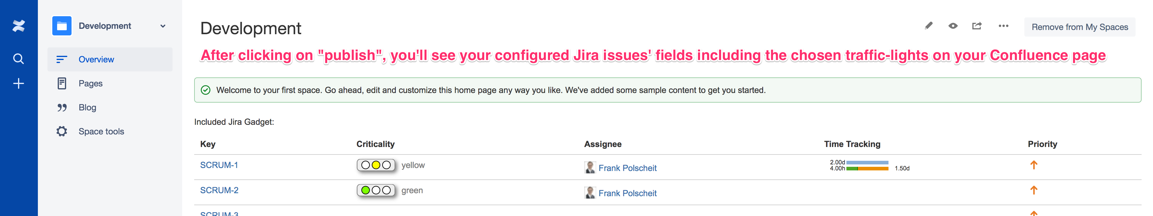 Integration into Confluence