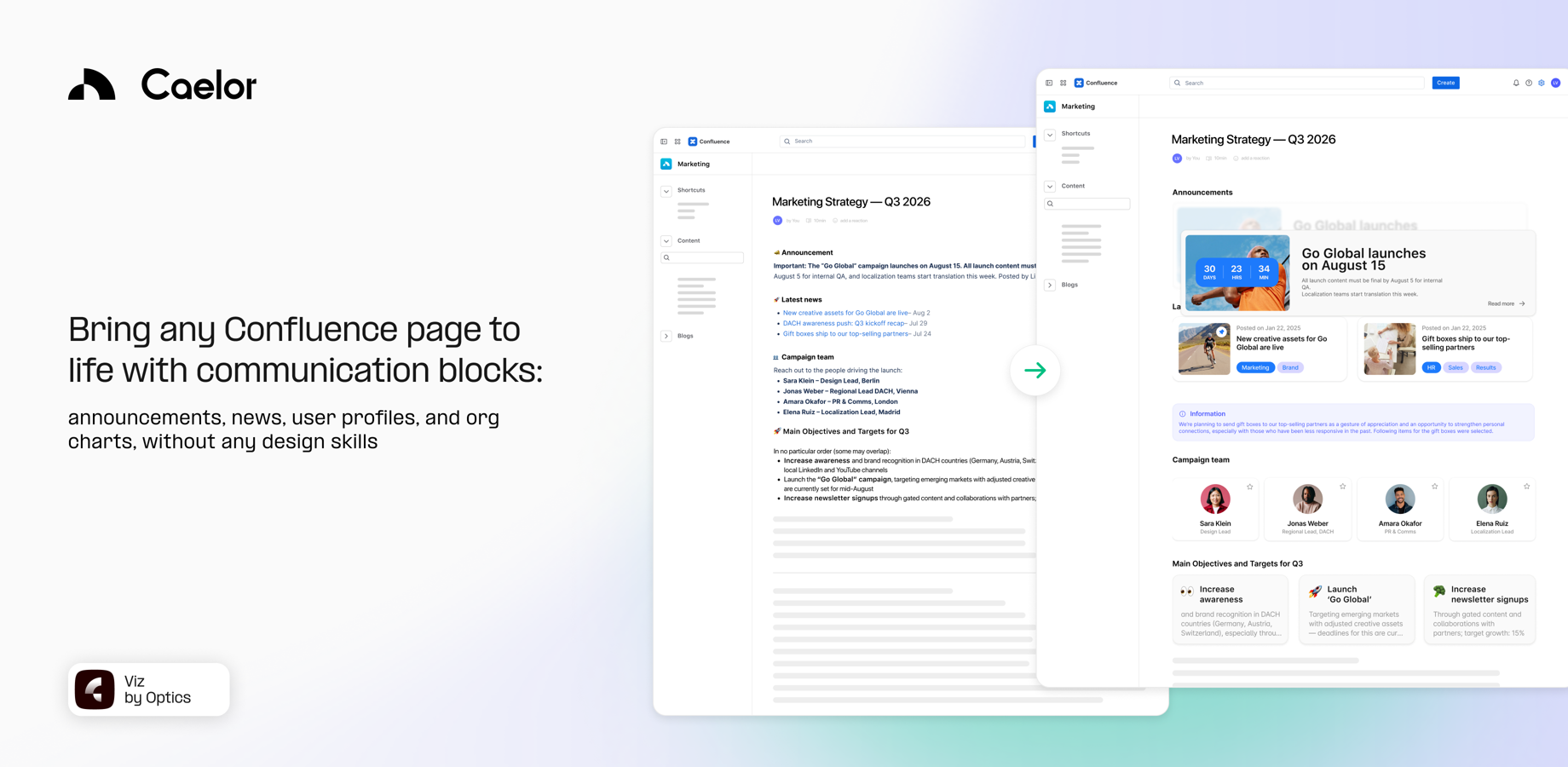 Viz: make every page look professionally designed
