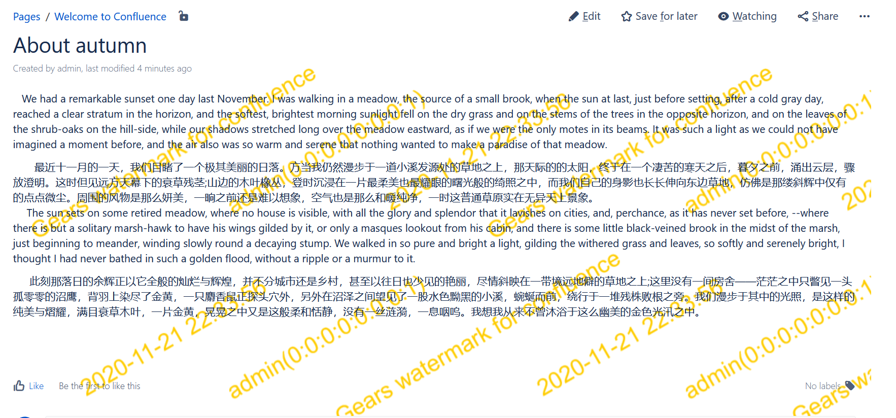 Watermark display example