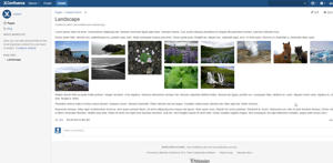 Responsive column gallery macro