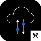 Cloud Migration with Custom Forge Development
